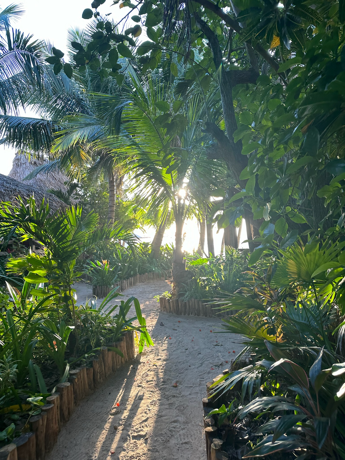 Trip Report: Honeymoon in Belize